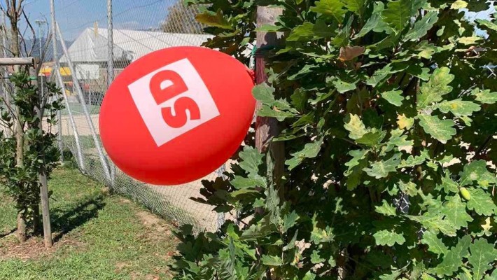 DRUŽENJE ČLANOV SD SAŠA