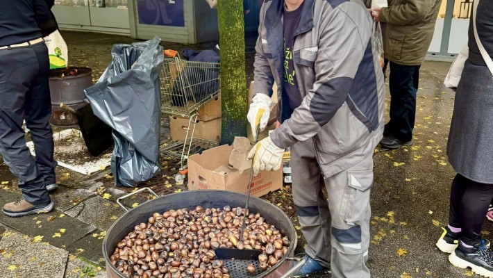 KOSTANJEV PIKNIK NA CANKARJEVI